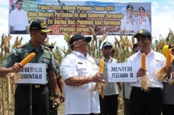 Mentan Targetkan Produksi Jagung Gorontalo 1 Juta Ton