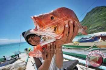 NELAYAN PANTAI RANTUNG
