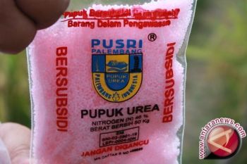 Petani Jayapura kesulitan peroleh pupuk bersubsidi 