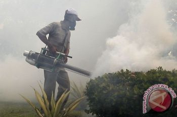 Tekan DBD, Tujuh Pabrik Kawasan Industri di Temanggung Difogging