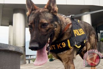 Dua Anjing Herder Lakukan Pengamanan Anggota dan Lingkungan DPR RI