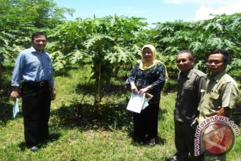 Pejabat Tinjau Lokasi "Festival Hortikultura 2015"