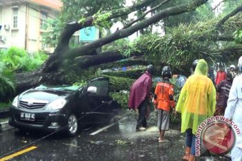 Yogyakarta pulihkan kondisi pascaangin kencang 