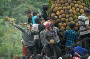 Dubes Negara Sahabat akan Kunjungi Festival Durian Lolong