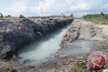Perusahaan Pengolahan Udang Diduga Cemari Lingkungan