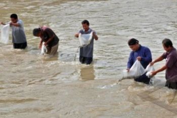 Jaga Ekosistem Sungai, Pelajar Tebar Ribuan Benih Ikan 