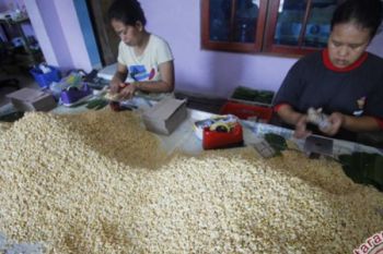 Rupiah Melemah, Harga Jual Kedelai Impor Malah Turun