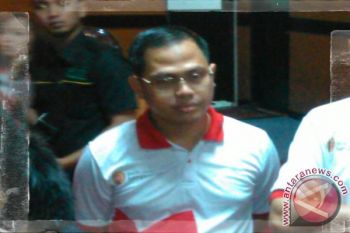 Bank Sampoerna biayai peremajaan kebun sawit di OKI