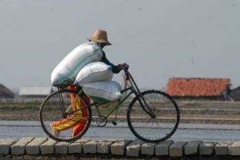 Buruh Angkut Garam