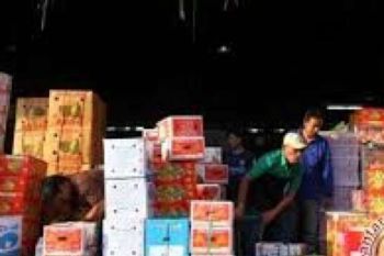 Disperindag Riau Larangan Impor Apel AS