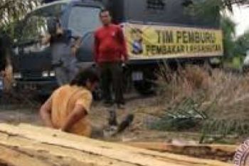 Polres Bengkalis Tangkap Sembilan Perambah Hutan