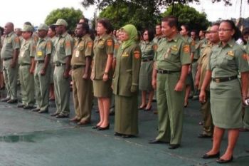 Pemprov Papua data ulang PNS secara elektronik