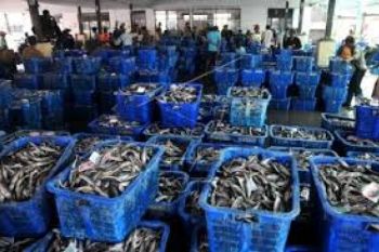 Jepara Gagas Membangun Pelabuhan Ikan