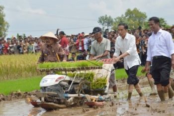 Presiden: Pemerintah Akan Naikkan Harga Beli Gabah