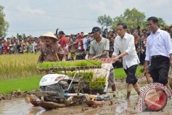 Presiden Hadiri Panen Raya Padi di Ponorogo