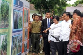 Presiden Joko Widodo di Blora