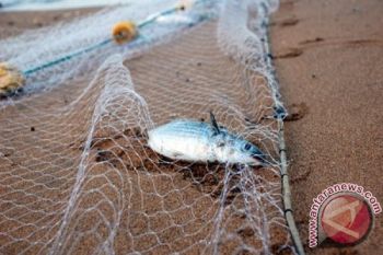 Pemkab Barut Bangun Lanting Posko "Illegal Fishing" 