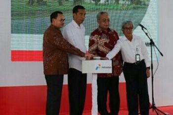 Presiden Ungkap Adanya Desakan Impor Beras