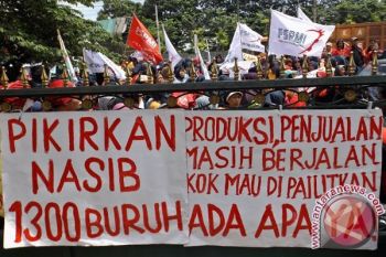 Kurator Belum Temukan Aset Lain Nyonya Meneer 