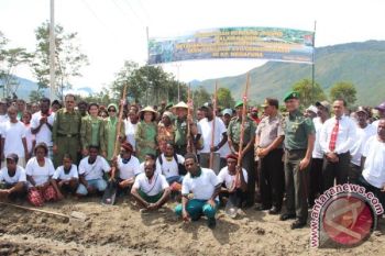 Kodam Cenderawasih bersama Pemkab Jayawijaya canangkan penanaman jagung