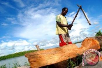 Perizinan produksi sagu Biak didaftar ke BPOM