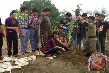 Polisi Pamong Praja Jayapura tanam 1.500 pohon