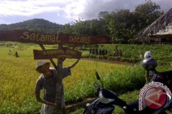 Warga Patuk kembangkan destinasi wisata "kampung emas" 