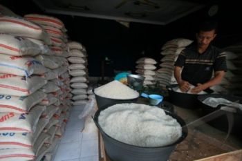 Belum Panen, Harga beras di Kebumen Bertahan Tinggi