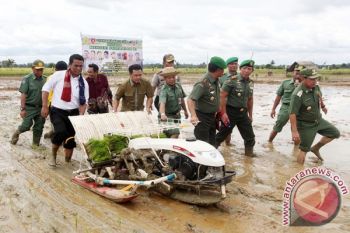 TANAM PADI BERSAMA