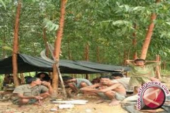 Suku Anak Dalam mendapat lahan kebun karet