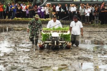 Mentan: Pemerintah Tak Akan Impor Beras