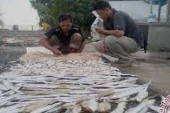 BBPOM Duga Ikan Asin Di Riau Berformalin