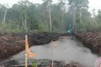 1.000 Kanal Liar Penyebab Kebakaran Riau Ditutup