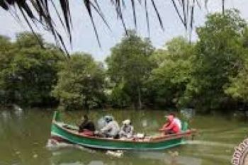 Sentra "Magrove" Riau Tumbuhkan Ekonomi Maritim