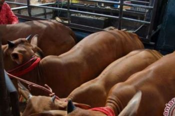 DPRD Riau Soroti Produksi Minyak SPR