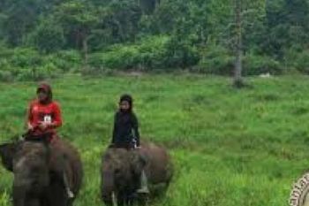 Pemerintah Targetkan REDD Taman Nasional Tahun Ini
