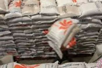  Pakar: Indonesia Swasembada Beras Tahun Ini