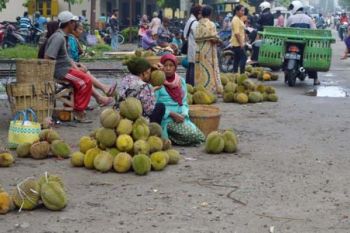 Pasar Musiman Durian