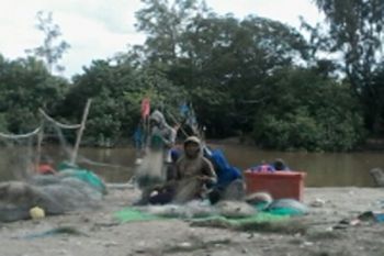 Nelayan Lampung Timur Keluhkan Hasil Tangkapan Kurang