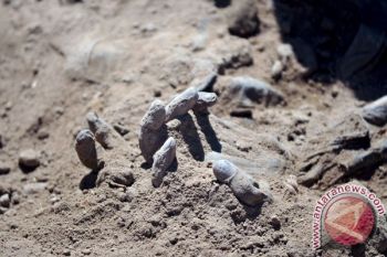 Polisi Spanyol Tangkap 9 Orang Terlibat ISIS Di Catalonia