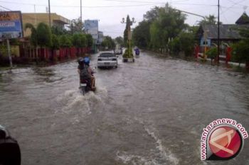 Banjir Di Pedalaman Kotawaringin Timur Belum Surut 