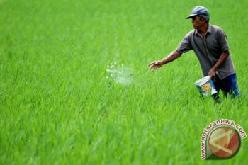 Petani Pekalongan Kesulitan Peroleh Urea