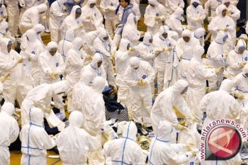  Virus Flu Burung Semakin Menyebar Di AS