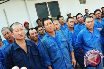 Imigrasi: lebih seribu WNA bermukim di Mimika