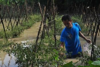 Banjir Boyolali Rendam Ratusan Rumah