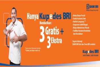 BRI  ajak petani-nelayan Mimika manfaatkan Kupedes-KPPE