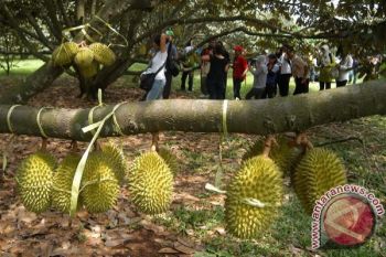 Produk pertanian bisa dijadikan objek wisata pendidikan 