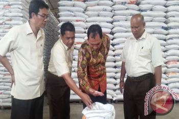 Bulog serap 2.268 ton beras produksi Papua 