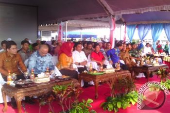 Presiden Jokowi Janji Pelajari Usulan Sawah Kotim 