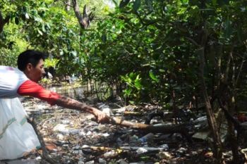 Bersih Sampah Mangrove